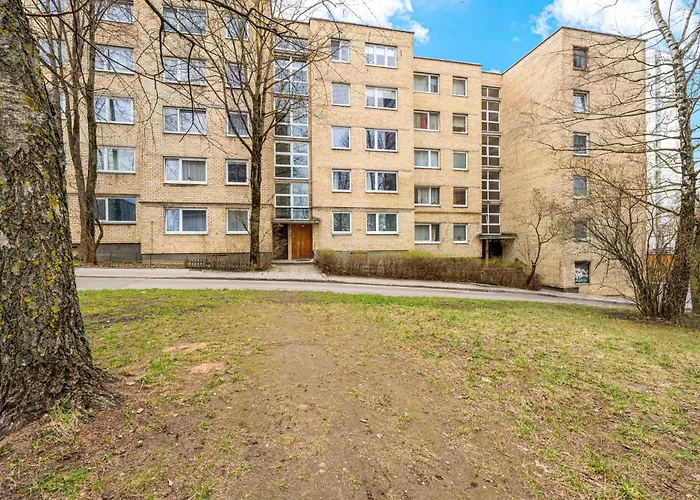 Bright, Cozy 5 Min Walk To Old Town Daire Vilnius